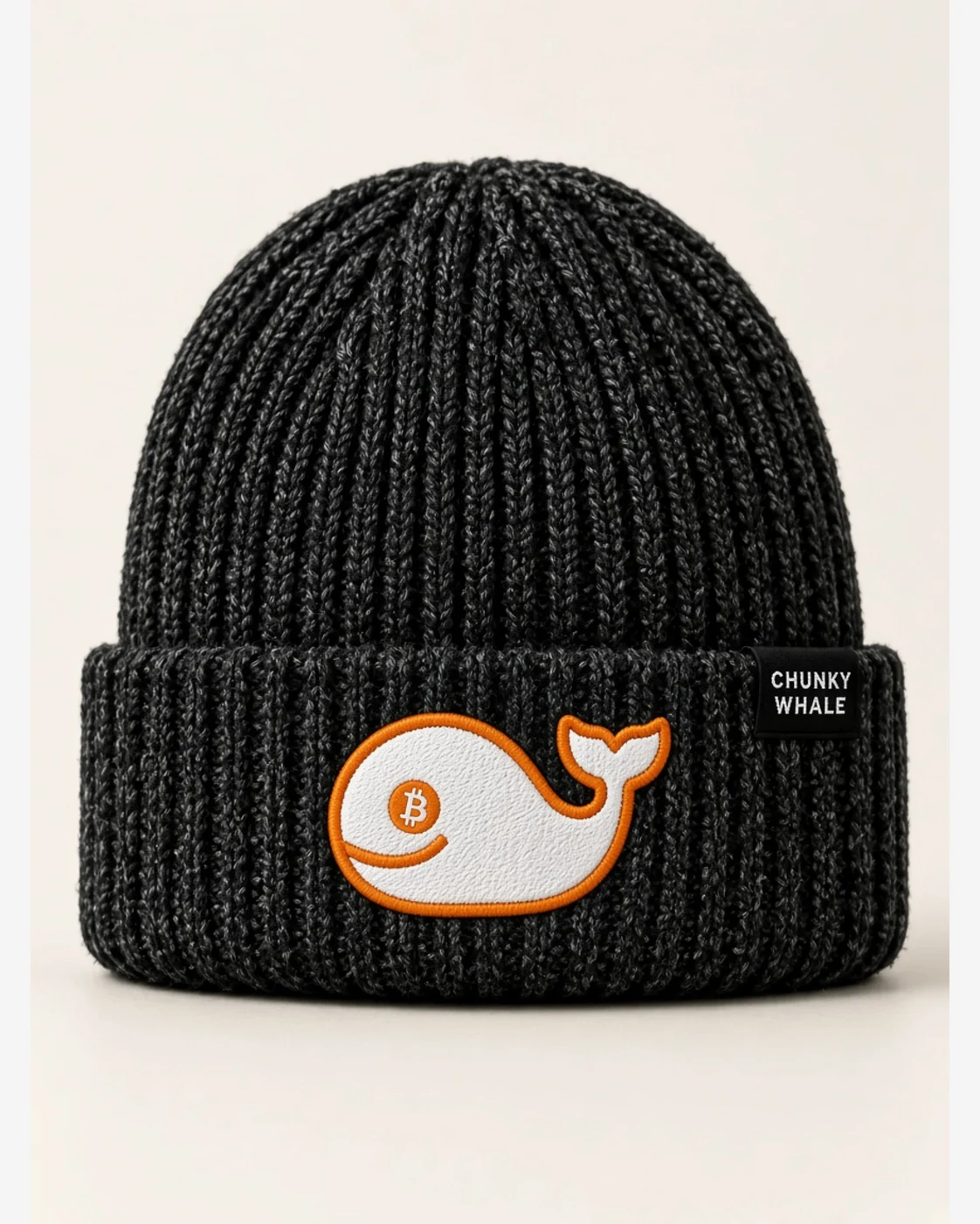 AI concept — Pod Rib Beanie — Charcoal